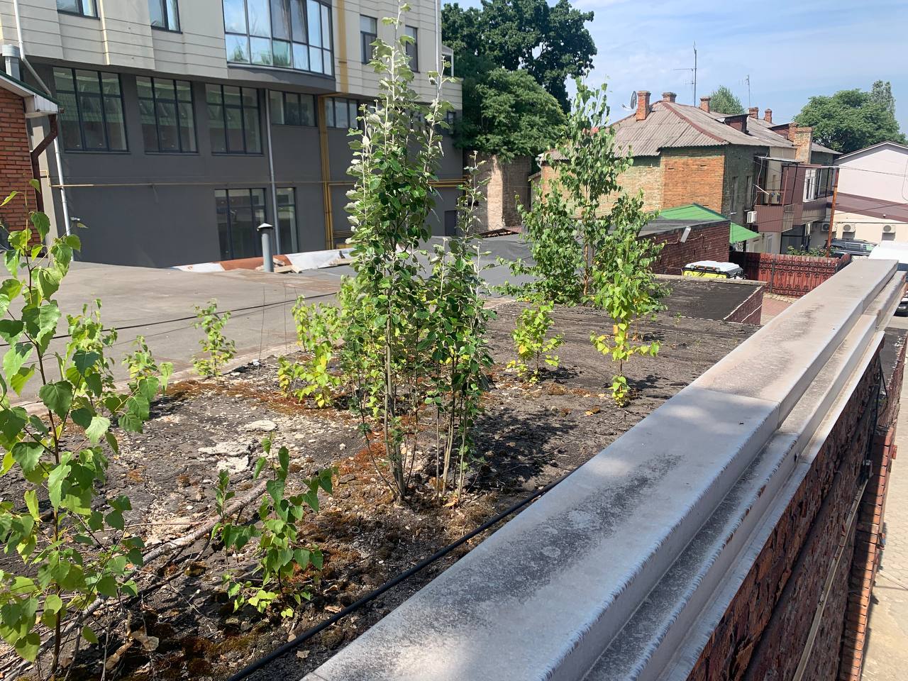 Ремонт крыши